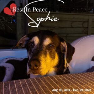 What A Good Girl, Ms. Sophie was.